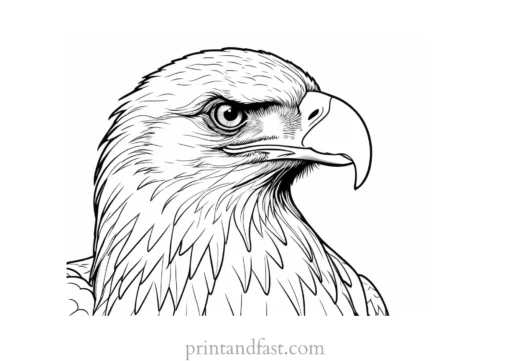 american eagle coloring page