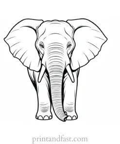 angry elephant coloring page