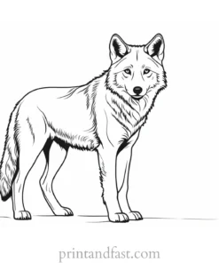 baby wolf coloring sheet