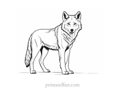 baby wolf coloring sheet