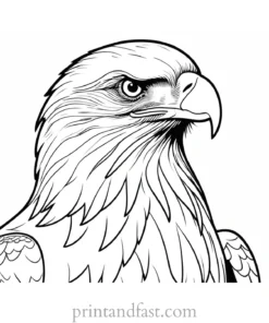 bald eagle coloring page