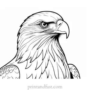 bald eagle coloring page