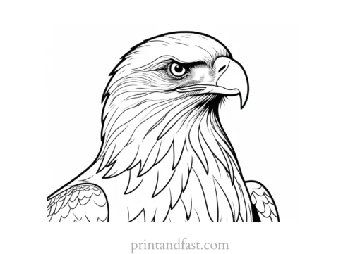 bald eagle coloring page