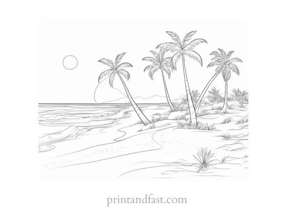 beach coloring page palm trees