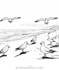 beach coloring page seagulls