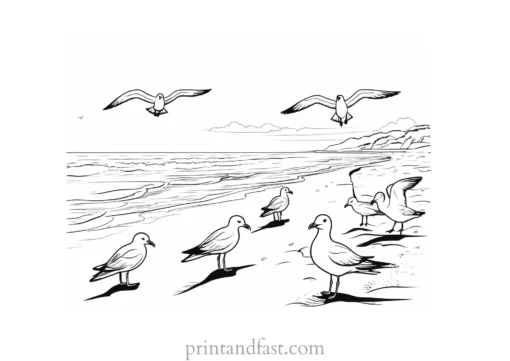 beach coloring page seagulls