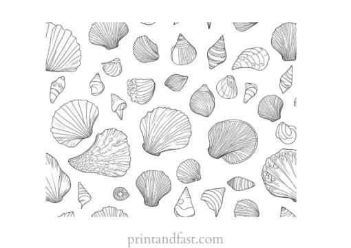 beach coloring page seashells