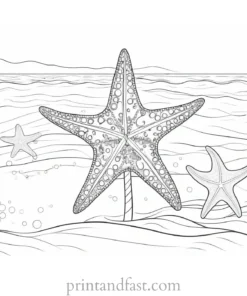 beach coloring page starfish