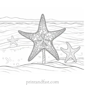 beach coloring page starfish