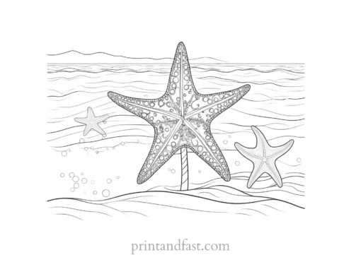 beach coloring page starfish