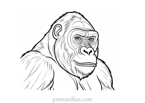 beautiful Gorilla Coloring Page