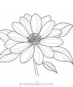 beautiful flower coloring page