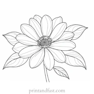 beautiful flower coloring page