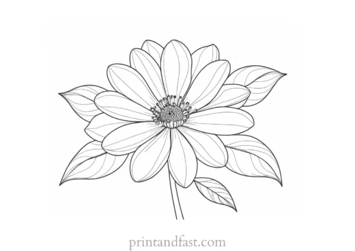 beautiful flower coloring page