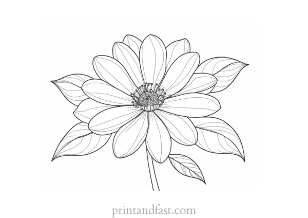 beautiful flower coloring page