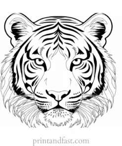 beautiful tiger coloring page