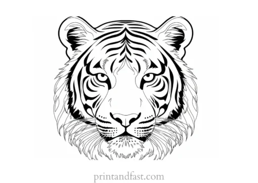 beautiful tiger coloring page