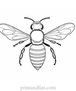 bee coloring page black and white