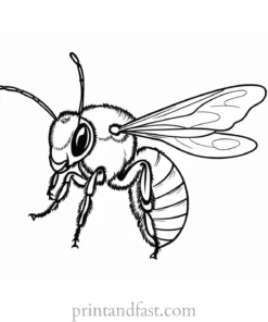 bee coloring page educational