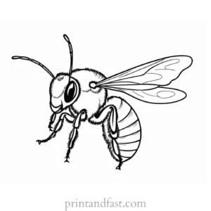 bee coloring page educational