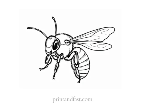 bee coloring page educational