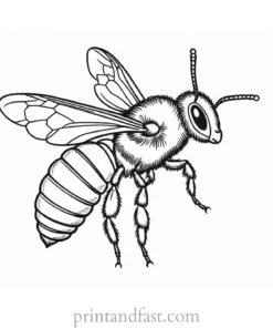 bee coloring page fall