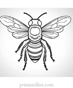 bee coloring page for adults