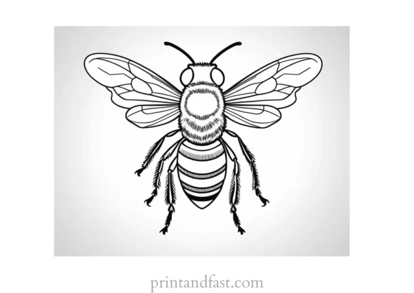 bee coloring page for adults