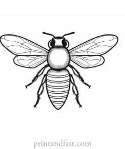 bee coloring page printable