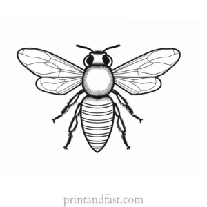 bee coloring page printable