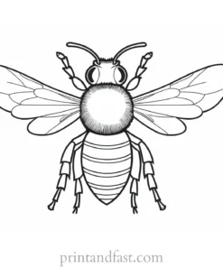 bee coloring page simple