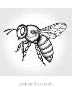 bee coloring page summer