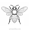 bee coloring page template