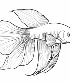 betta fish coloring page