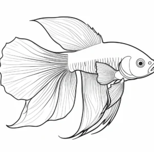 betta fish coloring page