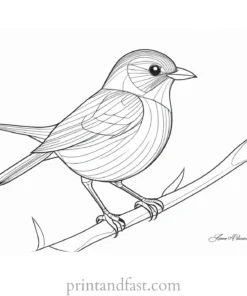 bird coloring page PDF