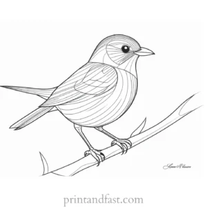 bird coloring page PDF