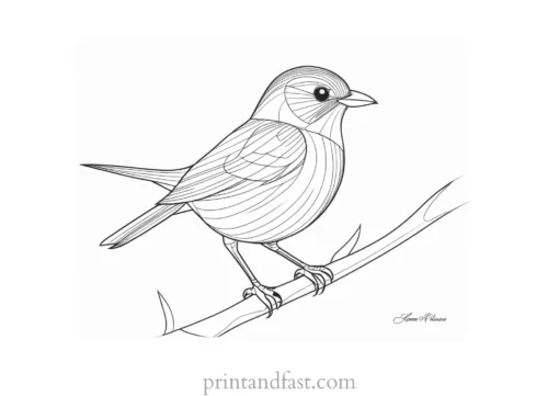 bird coloring page PDF