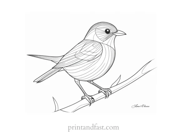 bird coloring page PDF