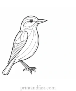 bird coloring page cute