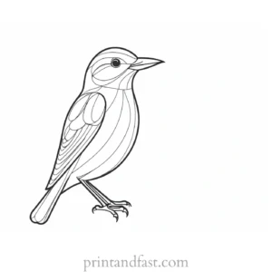 bird coloring page cute