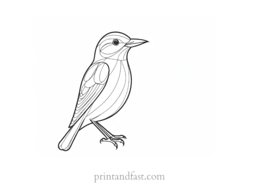 bird coloring page cute