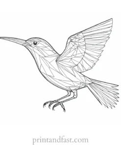 bird coloring page detailed