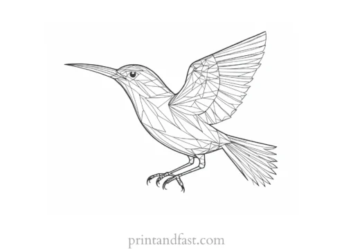 bird coloring page detailed