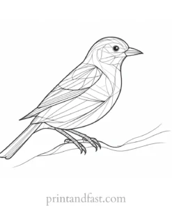 bird coloring page digital