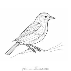 bird coloring page digital