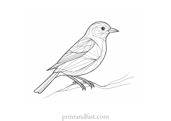 bird coloring page digital