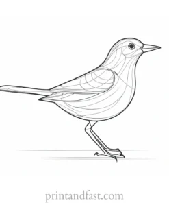 bird coloring page easy