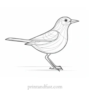 bird coloring page easy