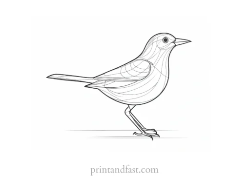 bird coloring page easy